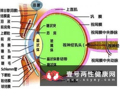 预防先天性白内障遗传办法