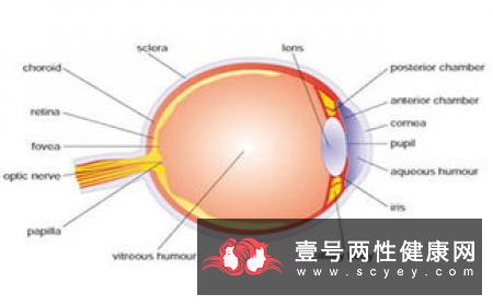 白内障应该如何护理？