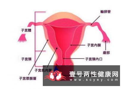 哪些卵巢囊肿患者要通过手术治疗