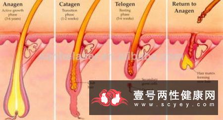 你老伴的老年痴呆是否严重？老年痴呆不同时期有哪些症状