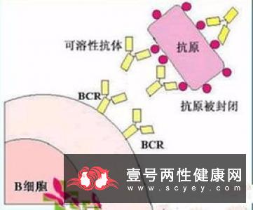 封闭抗体阴性的治疗方法