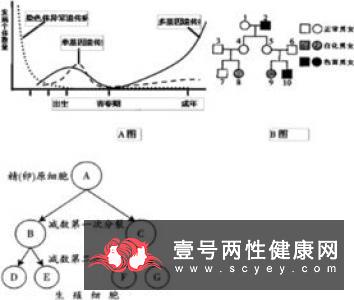 多基因遗传病有哪些