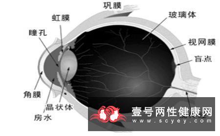 白内障患者饮食要注意什么？