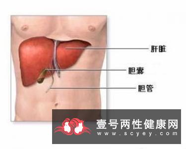 熬呀熬熬出了肝硬化……