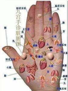 如何预防老年痴呆  其实方法也不难