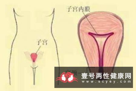 宫内节育器为什么要取节育环