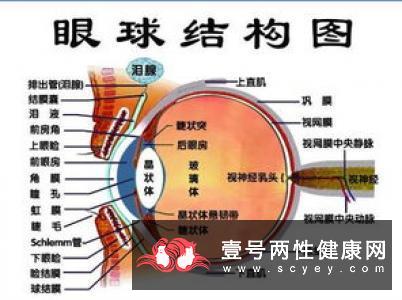 白内障的早期有哪些症状表现