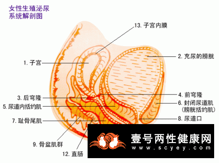 治疗老年痴呆的有效方法介绍！