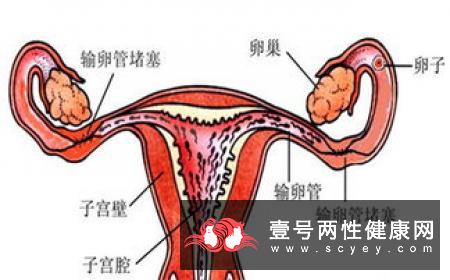 老人戴假牙也要注意保持口腔卫生 这些要点你注意到了吗