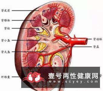 老年痴呆的病因主要有哪些呢?