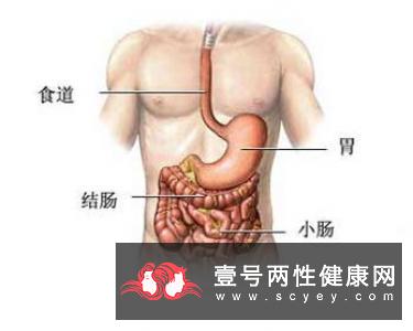 老年性痴呆的主要症状都有哪些?