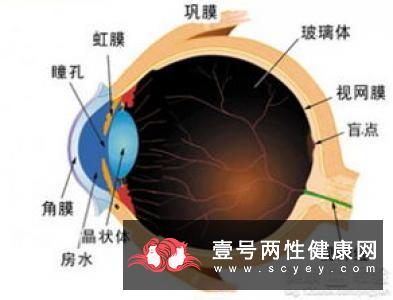 外伤性白内障能否植入人工晶状体