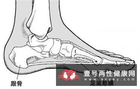 老年痴呆的病理和因素