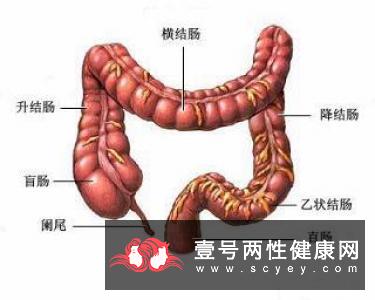 治疗老年性便秘的中药外治秘方