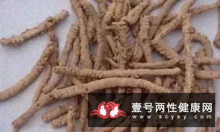 专家提醒 老年人不宜长期服用的中药茶